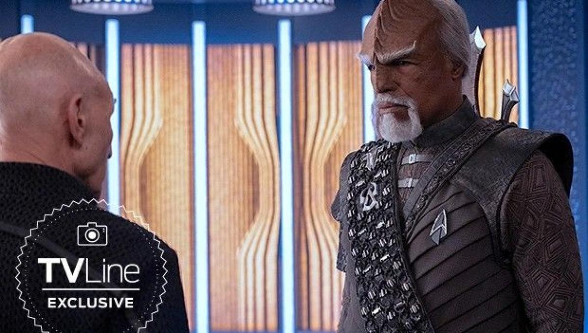 Immagine secondaria dell'articolo