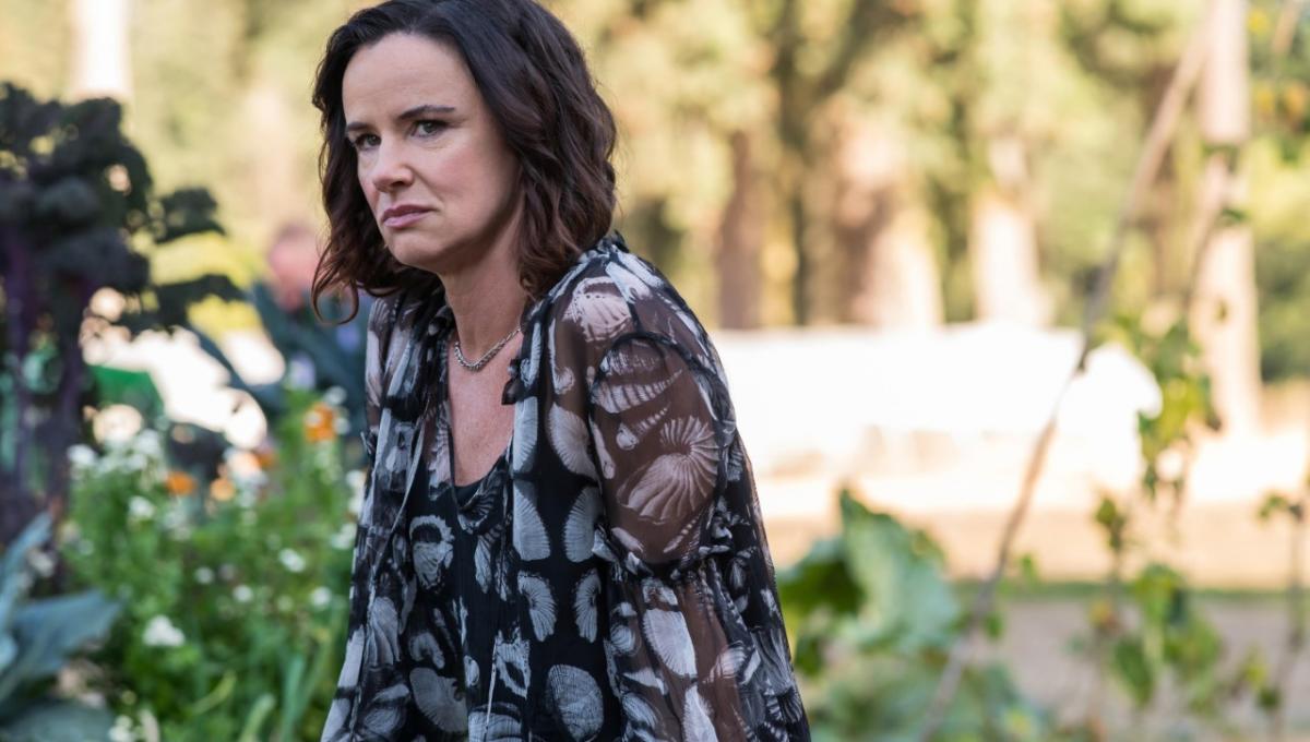 Immagine secondaria dell'articolo