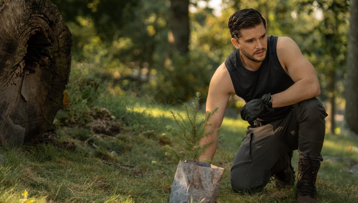 Immagine secondaria dell'articolo