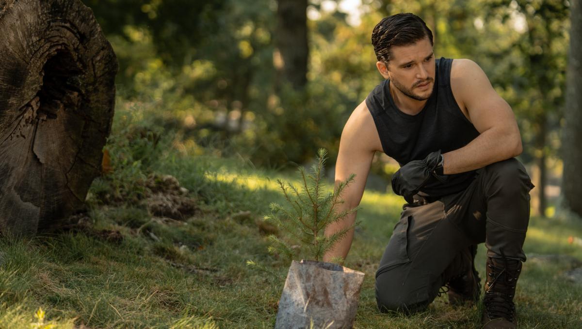 Immagine secondaria dell'articolo