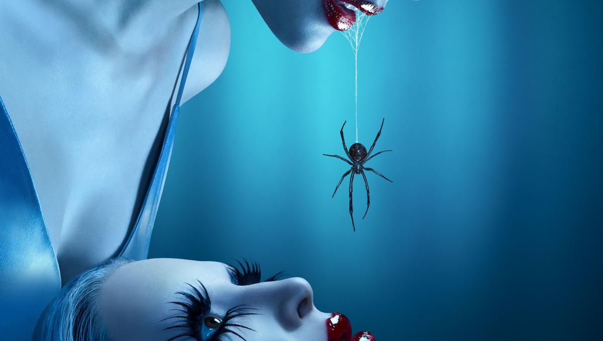 Immagine secondaria dell'articolo