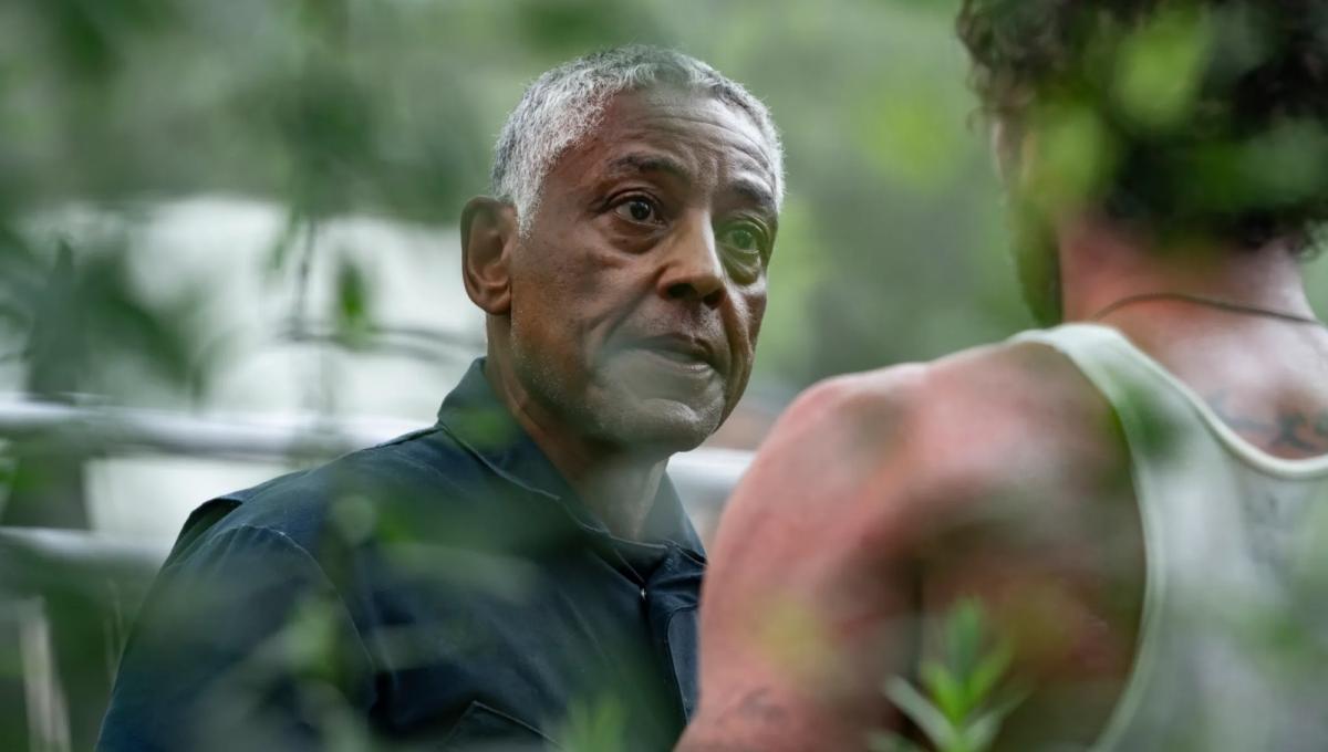 Immagine secondaria dell'articolo