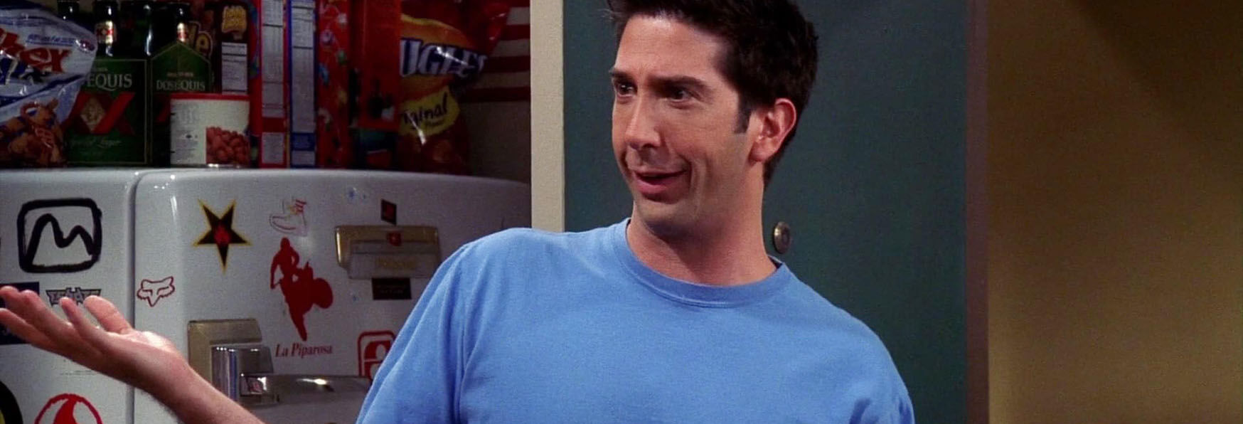 David Schwimmer: da Friends a Will & Grace