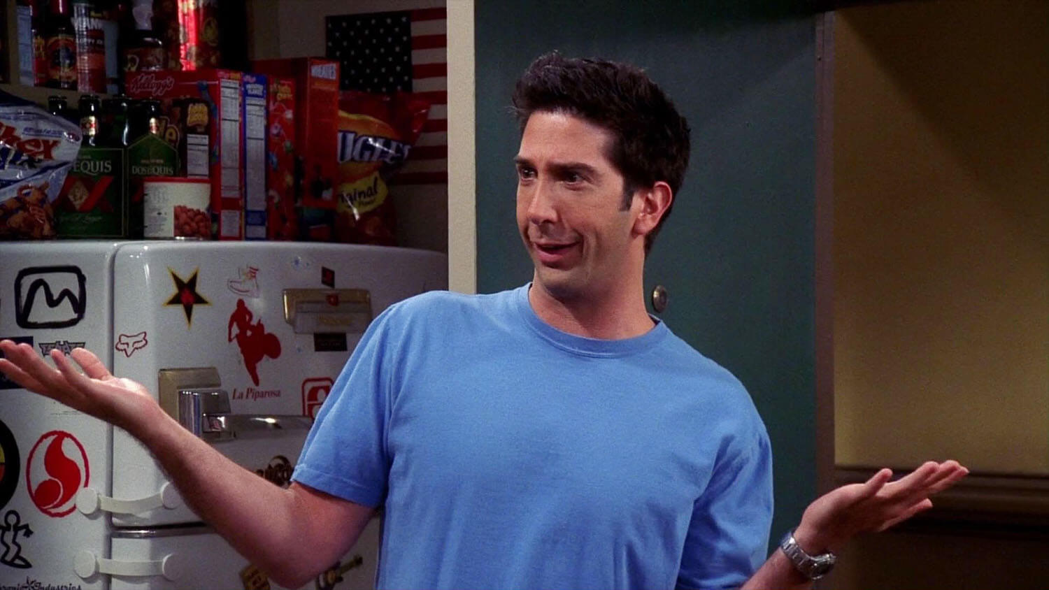 David Schwimmer: da Friends a Will & Grace